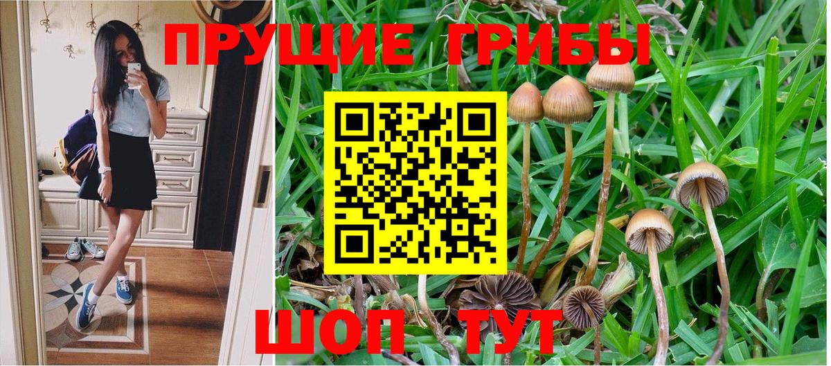 Псилоцибиновые грибы Psilocybine cubensis  Вход с VPN  где купить наркоту  Стрежевой 